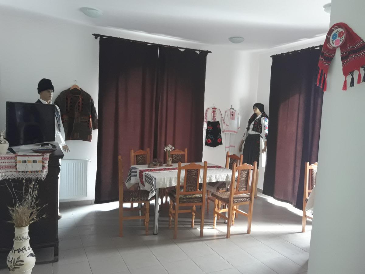 Pensiunea Casa Ungur Cetea Ngoại thất bức ảnh